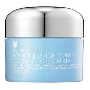 Mizon Гель-крем для проблемной кожи лица – Acence blemish control soothing gel cream, 50мл