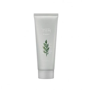 Missha Пенка для умывания с полынью New Artemisia Pack Foam Cleanser 150мл